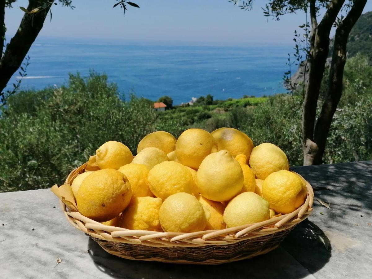Perla Del Levante Hostel Фрамура Екстер'єр фото